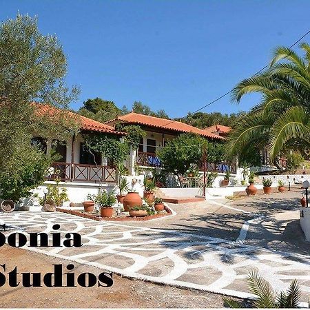 Sonia Studios Nees Kidonies Rom bilde