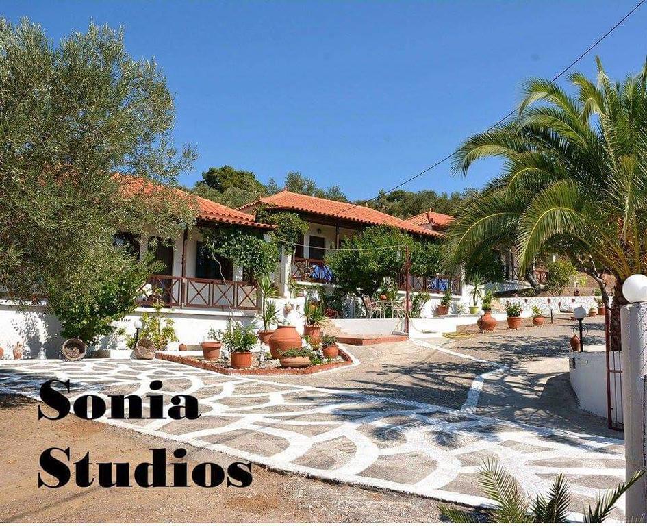 Sonia Studios Nees Kidonies Rom bilde