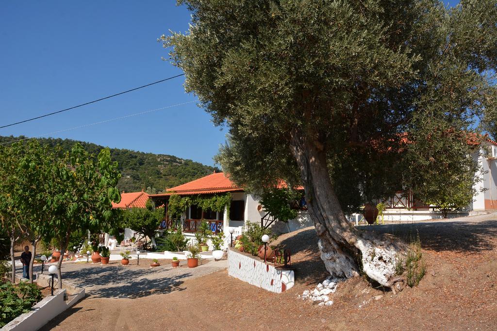 Sonia Studios Nees Kidonies Rom bilde